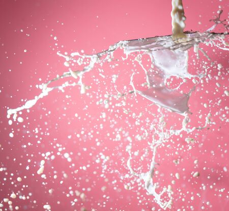Splashes of milk isolated on pink background.の写真素材