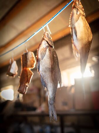 Salted fish dries on a rope in a barn.の写真素材
