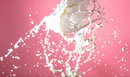 Splashes of milk isolated on pink background.の写真素材