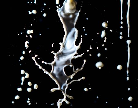 Splashes of white milk isolated on a black background. Drinkの写真素材