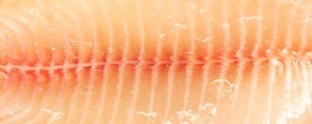 Tilapia fish fillet as background. Texture