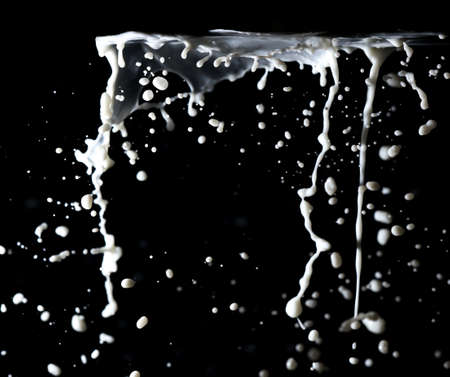 Splashes of white milk isolated on a black background. Drinkの写真素材