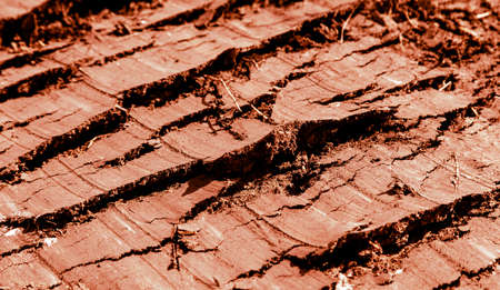 Cracked red soil on the nature. Abstract background.