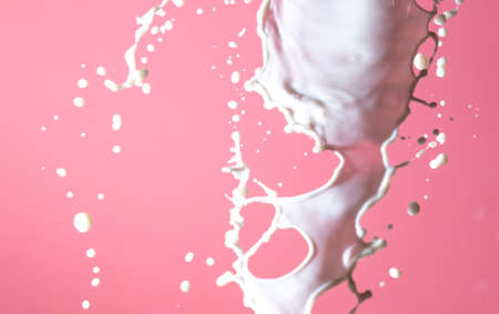 Splashes of milk isolated on pink background.の写真素材