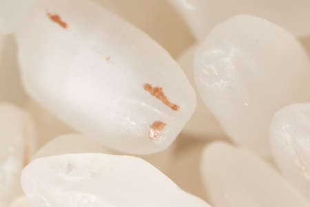 Close up white rice as background. Macro