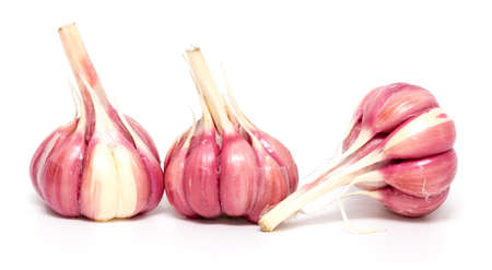Garlic isolated on white background. Harvest from vegetable gardenの写真素材