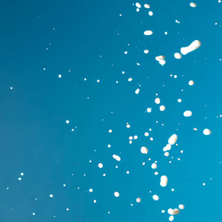 Splashes of white milk isolated on a blue background. Drinkの写真素材