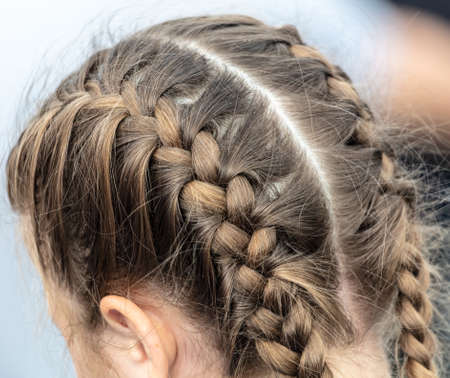 Pigtails on the girl's head. Hairstyle
