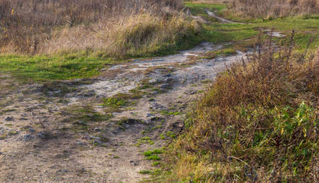 Dirt road in the field in autumn.の写真素材