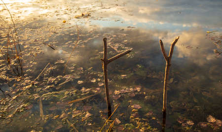 Wooden stand for fishing rod in the lake. Natureの写真素材