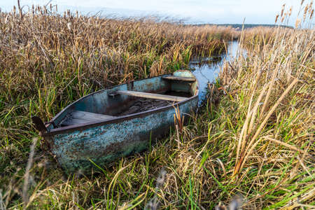 An old metal boat in the reeds by the lake.の写真素材