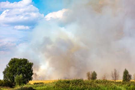 Smoke from a fire in the steppe against the background of the sky.の写真素材