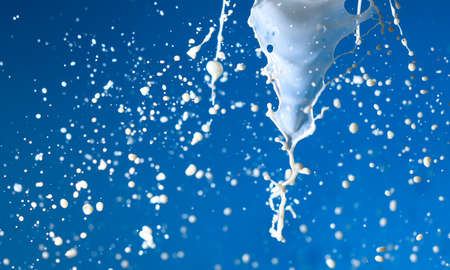 Splashes of white milk isolated on a blue background. Drinkの写真素材