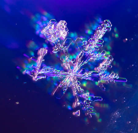 Snowflakes on a blue background with reflection. Winter background