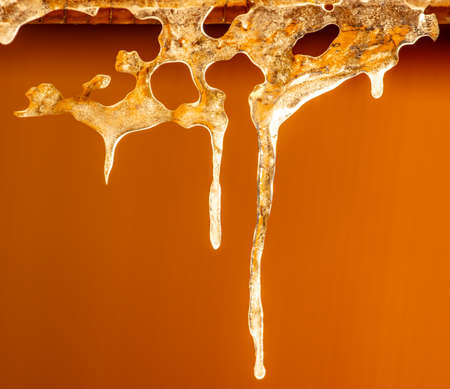 Icicles in winter in the rays of the dawn of the sun. Close-upの写真素材