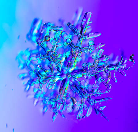 Snowflakes on a purple background with reflection. Winterの写真素材