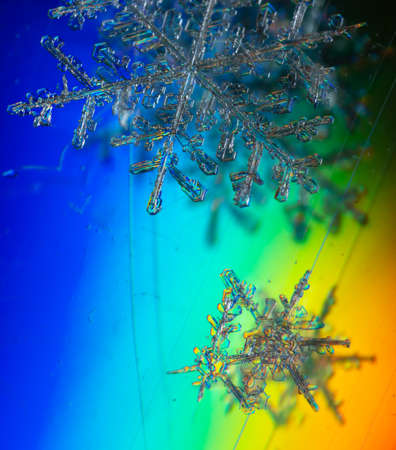 Snowflakes on a rainbow background. Winterの写真素材