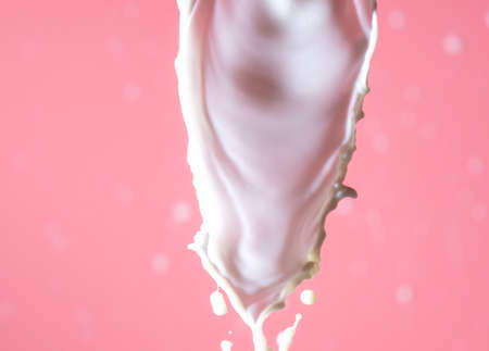 Splashes of white milk on a pink background. Drinkの写真素材
