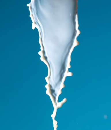 Splashes of white milk isolated on a blue background. Drink