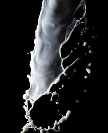 Splashes of white milk isolated on a black background. Drink