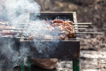 Meat on skewers is fried on the grill.