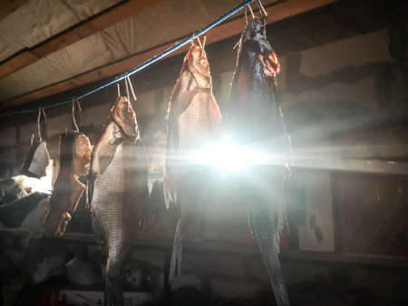 Close-up of a fish dried in the sun.の写真素材