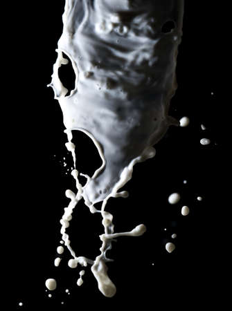 Splashes of white milk isolated on a black background. Drinkの写真素材