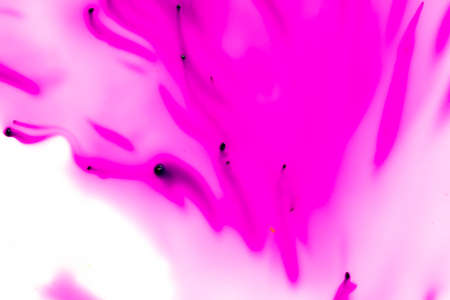 Red potassium permanganate as an abstract background .Texture