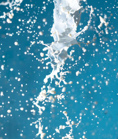 Splashes of white milk isolated on a blue background. Drink