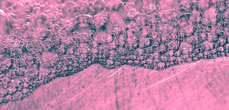 Pink foam in the sink as an abstract background.の写真素材