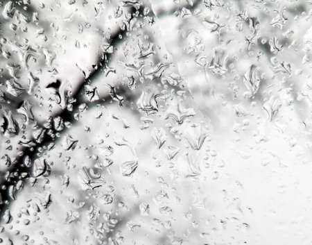 Drops on glass as an abstract background. Texture.の写真素材