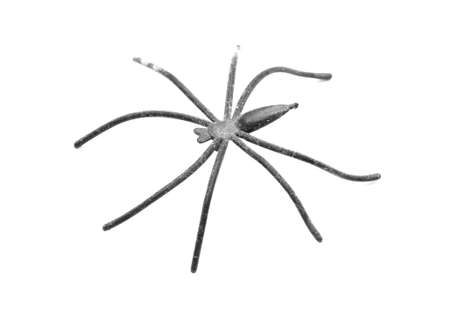 Spider toy isolated on a white background. Close-up.