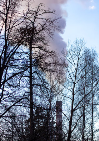 Smoke from chimneys at the plant behind the branches of a tree at sunset.の写真素材