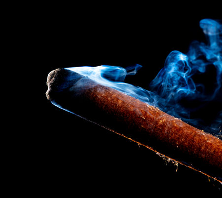 Reed smoke isolated on black background.の写真素材