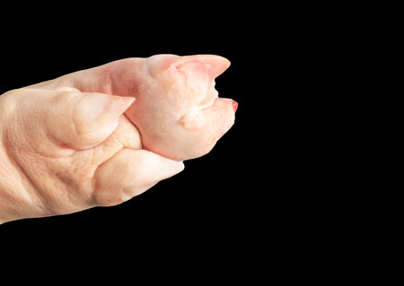 Pork hoof feet isolated on black background. Close-up