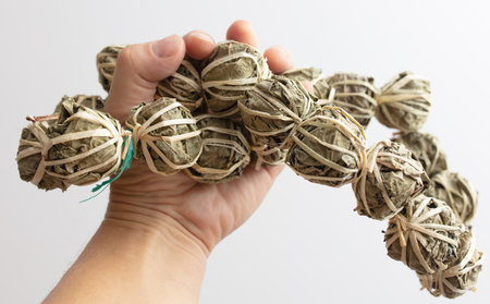 Close up of balls of dried tea leaves in hand on white background.の写真素材