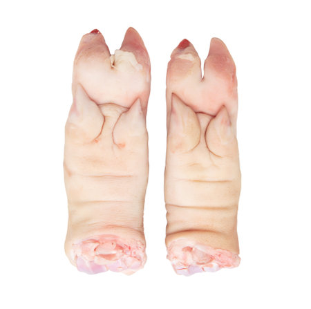 Pork hoof feet isolated on white background. Close-upの写真素材