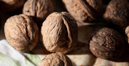 Fresh walnuts on drying as background. Close-up