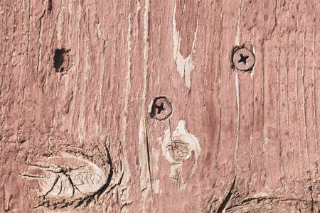 Self-tapping screws in an old wooden board. Close-up