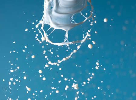 Splashes of white milk isolated on a blue background. Drinkの写真素材