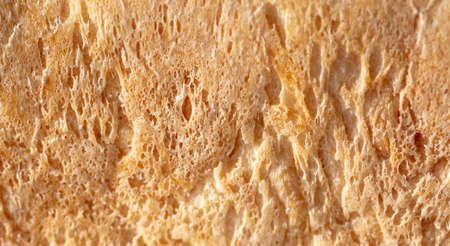 Fresh crusty bread as background. Close-up.
