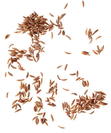 Caraway seeds isolated on a white background. Close-upの写真素材