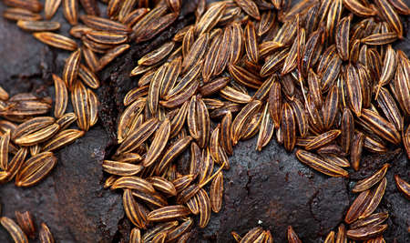 Cumin seeds on rye bread as background. Close-up