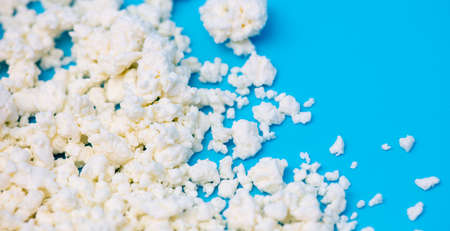 Milk curd on a blue background. Close-upの写真素材