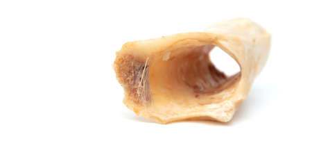 Cow bone isolated on white background. Close-up