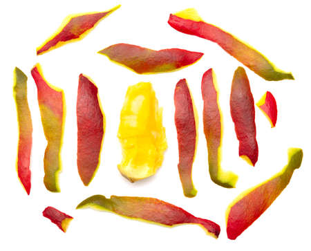Peeled mango skins on a white background. Close-upの写真素材