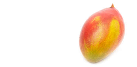 Ripe mango isolated on a white background. Close-upの写真素材