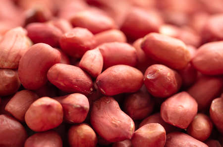 Close up of peanut nuts as background.