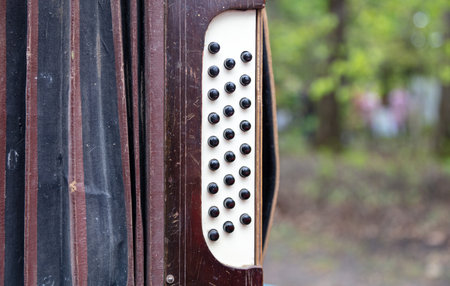 Keys on an old accordion. Musical instrumentの写真素材