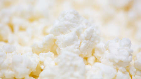 Fresh milk curd as background. Close-upの写真素材